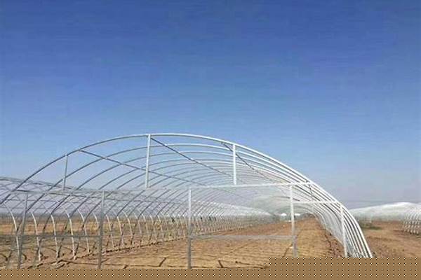 鍍鋅鋼管大棚/a_鍍鋅鋼管大棚多少錢一平方