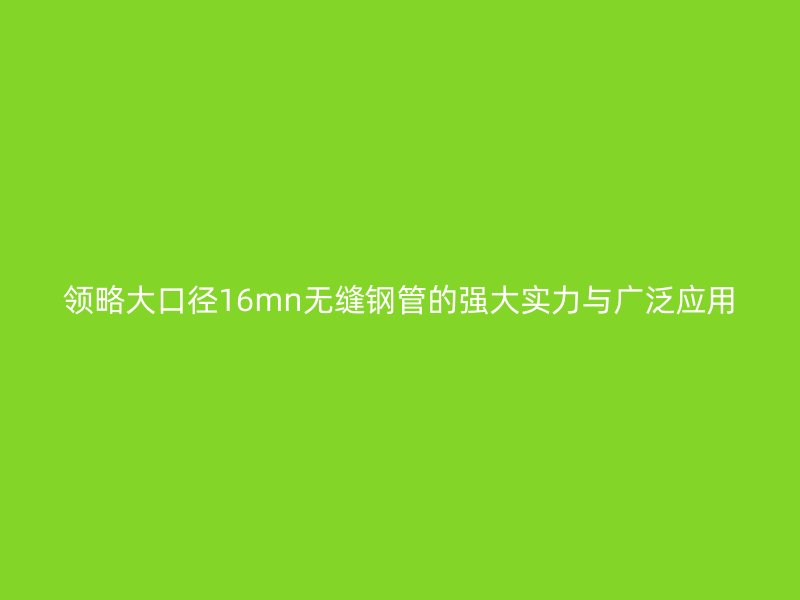 領略大口徑16mn無縫鋼管的強大實力與廣泛應用